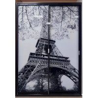 Шкаф-купе ПВ АО 2-10 150х60х220см Венге магия