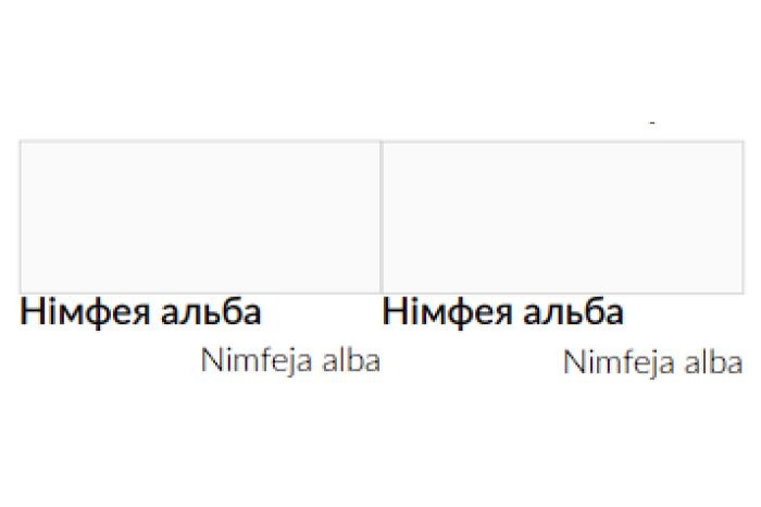 Тумба прикроватная Идея 2Я 40х35х40 Нимфея альба